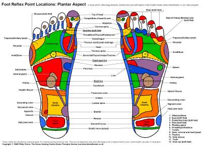 Reflexology Foot Chart And Meanings