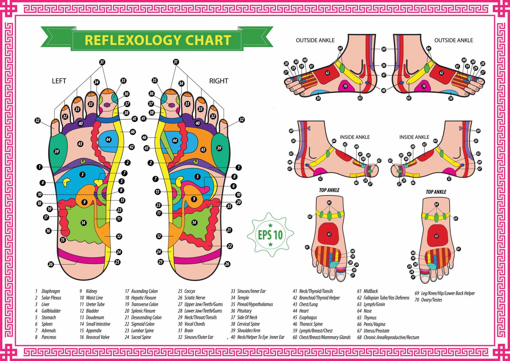 Chart For Foot Reflexology Points